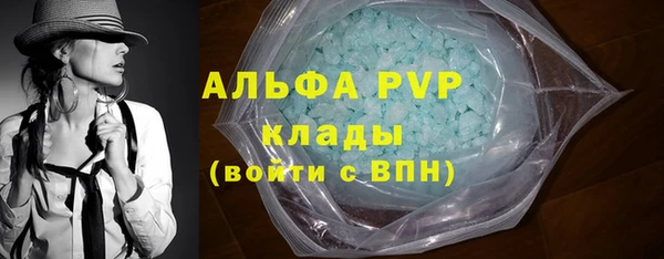 каннабис Каменногорск